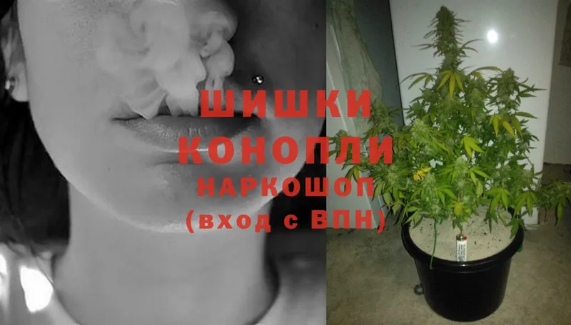 МАРИХУАНА SATIVA & INDICA  Борисоглебск 